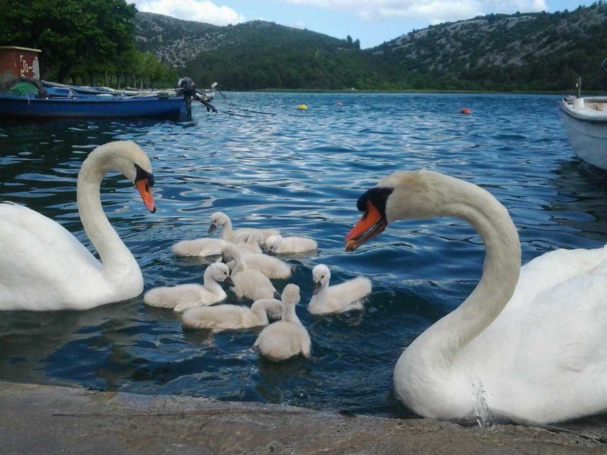 Apartman Hill Otel Skradin Dış mekan fotoğraf